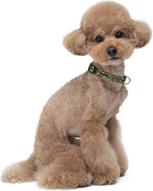 Reflective Cute Camouflage Dog Collar, Soft Nylon Adjustable Pet Collar for Small Dogs, Quick Release Buckle for