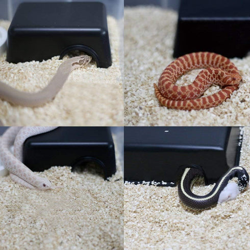 Reptile Hideout Box, Small Animal Hide Cave for Snakes, Lizards, Leopard Gecko, Rodents, Spiders (S)
