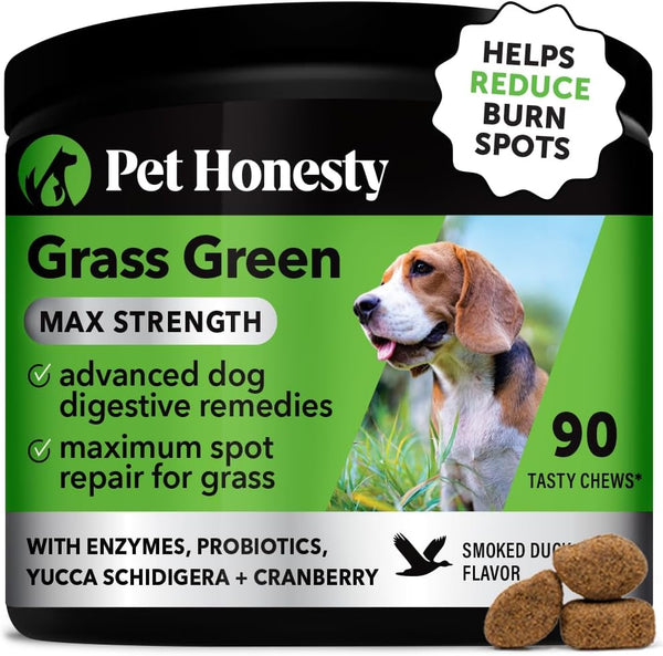 Pet Honesty Grass Green Max Strength Burn Spot Chews, 90 ct - Dog Pee Lawn Spot Saver Supplement with Probiotics