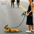 CBBPET Heavy Duty Dog Leash, Highly Reflective Threads for Large Medium Small Dogs, Durable Puppy Training Leash