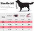IVY&LANE Adjustable Reflective Dog Collar and Leash Set, Neoprene Padded for Small Medium Large Dogs, 5FT Nylon Leash