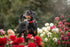 Floral Dog Collar for Large Dogs, Designer Girl Dog Collar with Flower Bow, Quick Release Wedding Collar