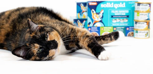 Solid Gold Wet Cat Food Variety Pack - Pate & Shreds in Gravy with Real Chicken, Tuna & Mackerel - 12 Pack