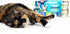 Solid Gold Wet Cat Food Variety Pack - Pate & Shreds in Gravy with Real Chicken, Tuna & Mackerel - 12 Pack