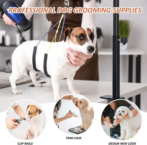 Dog Grooming Arm with Clamp, Adjustable Table Arm with Two No Sit Haunch Holder, Foldable Pet Supplies