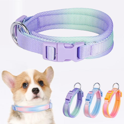 Fashionable Gradient Dog Collar in Macaron & Dopamine Shades, Breathable Mesh Padding, Durable POM Buckle, Blue XS