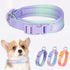 Fashionable Gradient Dog Collar in Macaron & Dopamine Shades, Breathable Mesh Padding, Durable POM Buckle, Blue XS