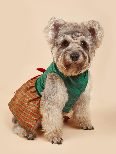 Tangpan Christmas Pet Plaid Skirt Dog Santa Dress Outfit (Green, L) for Puppy Party