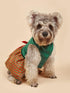 Tangpan Christmas Pet Plaid Skirt Dog Santa Dress Outfit (Green, L) for Puppy Party