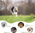 Puppy Toys for Teething, Dog Chew Toys for Small & Medium Breeds, Durable All-Natural Rubber and Cotton, 4-Pack