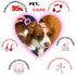 Deshedding Tool for Dogs and Cats - Reduces Shedding by Up to 95% in Less Than 10 Minutes—best Choice for Grooming and Deshedding Your Lovely Pets. Dog Brush Cat brush Horse Brush Rabbit Brush.