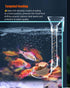 Shrimp Feeding Dish Set, Aquarium Fish Feeder Tube Kit with Feeding Ring and Cleaning Brush