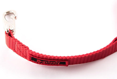 The Jenny Dog Leash for Blind, Elderly, Disabled Pets - Total Control for MED & Large Dogs