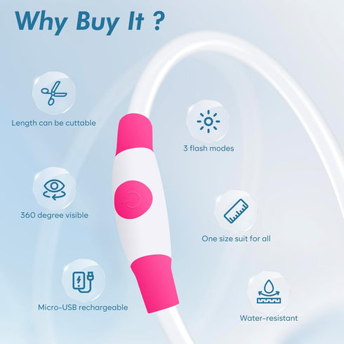 BSEEN Light Up Dog Collar - Rechargeable LED Waterproof Glowing Pet Collar for Night Walking (Pink 70cm)
