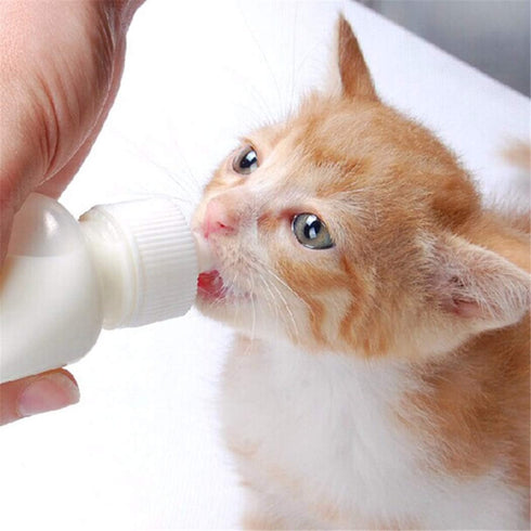 DoubleWood Pet Nursing Bottle Kits with Replacement Nipple for Newborn Kittens, Puppies, Rabbits