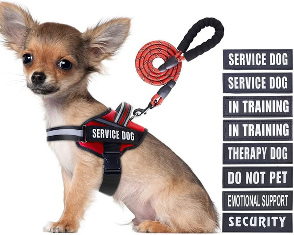 Service Dog Vest Harness and Leash Set, Animire in Training Dog Harness with 10 Patches, Reflective Leash with Soft