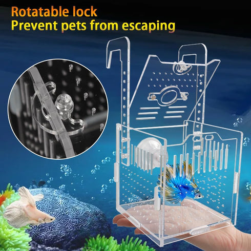 Acrylic Fish Breeding Box, 4x4x4 Inch with Suction Cups, Aquarium Hatchery Incubator for Baby Fishes