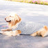 ANIAC Summer Dog Shirt for Medium Dog, Striped T-Shirt, White Basic Tank Top, Sleeveless Vest, Spring Pet Clothes