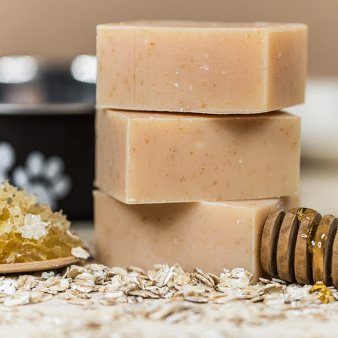 3.8 oz Chagrin Valley Soap & Salve Certified Organic Dog Shampoo and Conditioner Dog Shampoo Itchy Skin Relief
