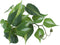 IBWell Fake Reptile Plants for Reptile Terrarium Plants, Reptile Plant Dcor, Turtle
