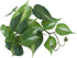 IBWell Fake Reptile Plants for Reptile Terrarium Plants, Reptile Plant Dcor, Turtle
