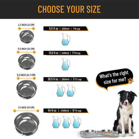 Active Pets Dog Bowl Set, Stainless Steel No Spill Food & Water Bowls with Skid Resistant Silicone Mat, Small, Medium,