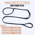Slip Lead Dog Leash - 6ft Black Training Leash with Double Handle, Soft Leather Nylon Slip Leash and Collar for Small,