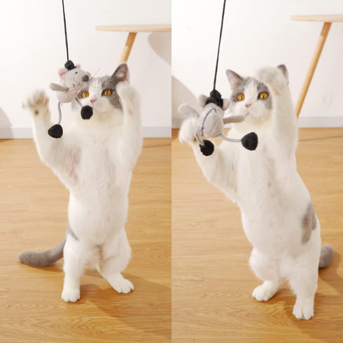 PAZ'S GIFT Cat Wand Toy, Cute Mouse Tease Interactive Indoor Toy for Cats, Fun Kitten Play with Chase Movement