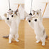 PAZ'S GIFT Cat Wand Toy, Cute Mouse Tease Interactive Indoor Toy for Cats, Fun Kitten Play with Chase Movement