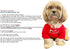 Cute Dog T Shirt for Medium Dogs, Breathable Soft Dog Clothes for Small Dogs, Pet Pullover Jumper (Aqua)