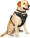 WINSEE Dog Harness No Pull with Collar, Adjustable Reflective Oxford Vest, Front/Back Leash Clips for All Dog Sizes