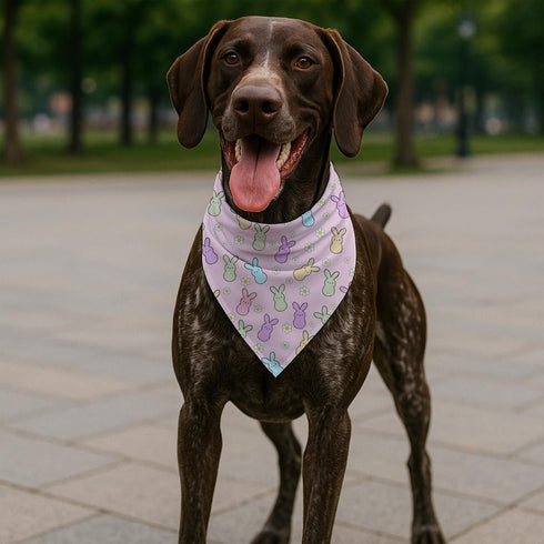 YJIKRTVT Easter Dog Bandana, Pastel Bunny Rabbit Triangle Pet Scarf for Small Medium Dogs, Spring Holiday Party