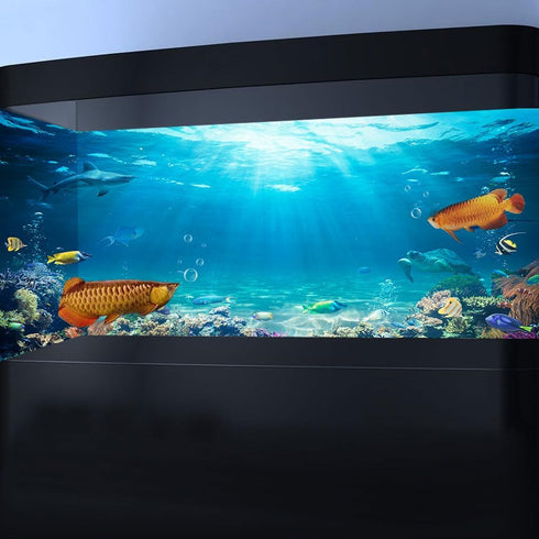 36X24IN Under The Sea Coral Reef Aquarium Background - Terrarium Background with 10 EVA Tape