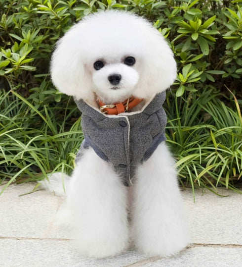 Dog Coat Rdc Pet Hoodie - Cold Weather Coats for Small Dog and Medium Cat (XXL, Grey)