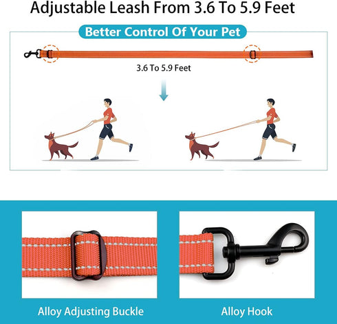 Reflective Dog Collar and Leash Set with Safety Locking Buckle, Adjustable Nylon for Small Medium Large Dogs