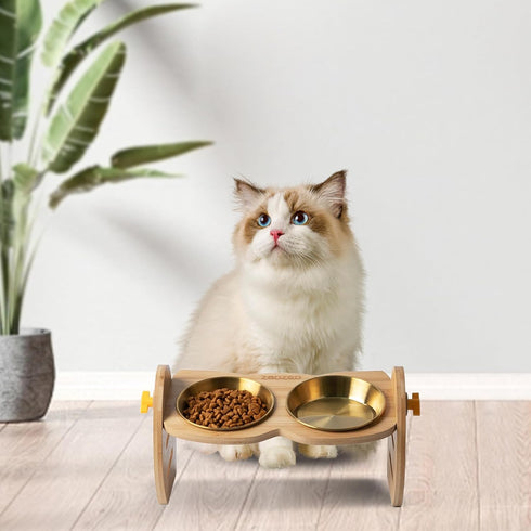 Elevated Cat Bowls, 15° Tilted Raised Bowl Stand with Two Stainless Steel Bowls, Water Feeder Set for Small Dogs