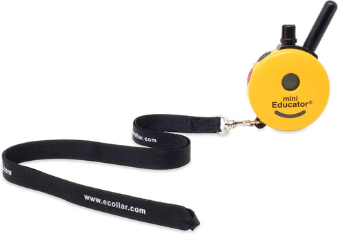 Educator Dog Trainer Nylon Lanyard Lead for Use with E-Collar Hand Held Transmitter Remotes, Black
