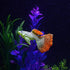 Tnfeeon 4PCS Luminous Simulation Fish, Colorful Silicone Floating Tropical Fish Aquarium Decoration Ornament