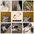 2 Cat Feather Toys Attachments - Pcs Handmade Natural Shrimps - Cat Toy Wand Refills - Interactive Kitten Teaser Wand