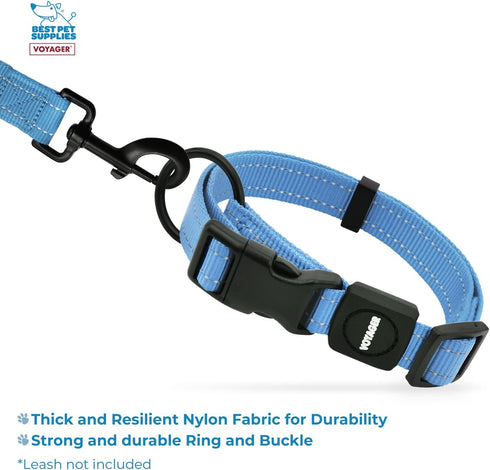 Best Pet Supplies Reflective Dog Collar, Adjustable Length, Heavy-Duty Buckle, Training Accessory for Small to Large