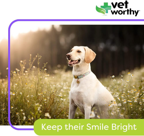 60ct Vet Worthy Chewable Toothpaste - Dog Teeth Cleaning Chews with Propolis & Zeolites - Toothpaste for Dogs - Tartar