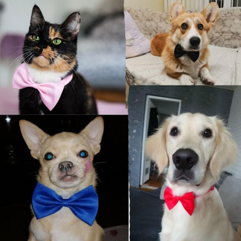 Orange Dog Bow Ties with Adjustable Collar, Solid Pet Neckties for Dogs and Cats, Grooming Bowtie Collars