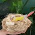40g Building Mat Pigeon Natural Mixing Bird Nesting Material, Cushion Cage Liner for Nest Building and Hideouts