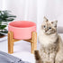 Pink Ceramic Elevated Raised Cat Bowl with Wood Stand, No Spill Pet Food Water Feeder for Cats and Small Dogs