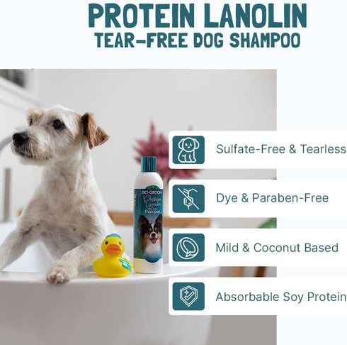 32 oz 1-Pack Bio-Groom Protein Lanolin Dog Shampoo - Tear-Free Pet Shampoo, Dog Bathing Supplies, Puppy Wash, Cat & Dog