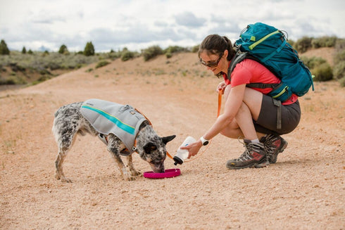 Ruffwear Camp Flyer Dog Toy, Lightweight Flexible Disc for Throw and Fetch, Red Sumac