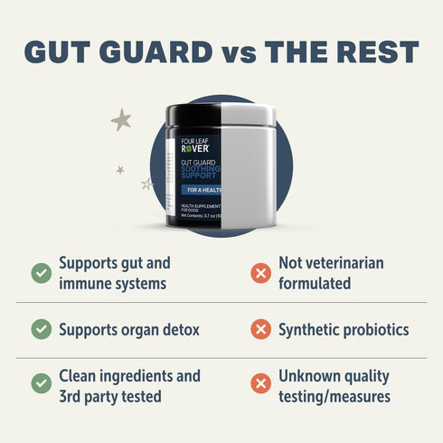 Immune 30 Four Leaf Rover Gut Guard - Dog Probiotics, Prebiotics, and Organic Herbs for Gut Health and Support