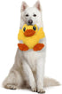 MIGHTY Microfiber Ball Duck – Made with Squeaker Balls, Minimal Stuffing, Strong & Tough, Interactive Play Dog Toy