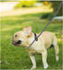 8FT Slip Lead Dog Leash, 1/3” Strong Rope, Adjustable No-Pull Leash for Small and Medium Pets (Black)