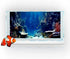 30X18IN Blue Sea Floor Aquarium Background, Natural Underwater World 3D Effect with 8 EVA Double-Sided Tape